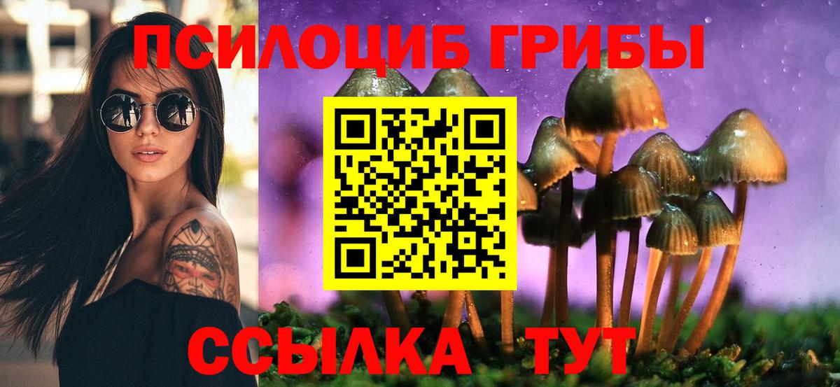 Псилоцибиновые грибы Psilocybine cubensis  Вход с VPN  Россия 